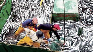 La ONU advierte que en pocos a&ntilde;os se agotar&aacute;n los recursos naturales