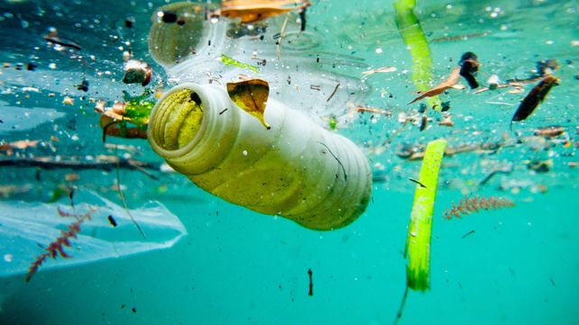 Horror. El plástico está ahogando la vida de los océanos. En el Caribe decidieron actuar por su cuenta.&nbsp;