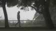 El tiempo en Rosario: un jueves que estaría atravesado por la niebla