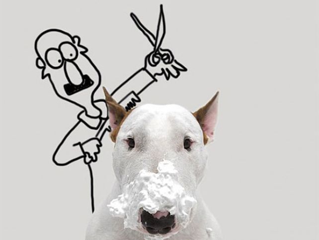 Su esposa lo dejó, pero creó un mundo con su perro