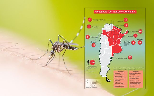 El dengue se propaga en el país y extreman medidas en Entre Ríos
