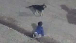 La familia del bebé hallado en la calle no entiende cómo se escapó de la casa