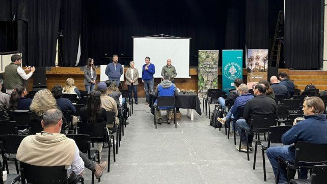 Entre Ríos fortalece la articulación para el control del picudo rojo de las palmeras.
