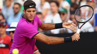 Del Potro ya está en los cuartos de final de Roma