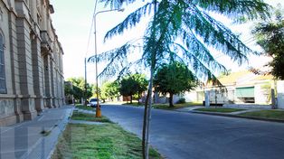 Santa Fe tiene 6.470 árboles más