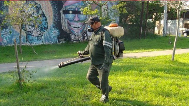 Ya comenzó la fumigación contra mosquitos y otras plagas en la ciudad de Santa Fe