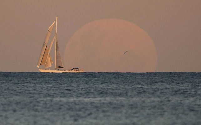 Un yate navega cuando la luna sale en Sydney . Un eclipse lunar total, también conocido como Super Blood Moon, tendrá lugar más tarde noche cuando la luna se vea ligeramente de color naranja rojizo.
