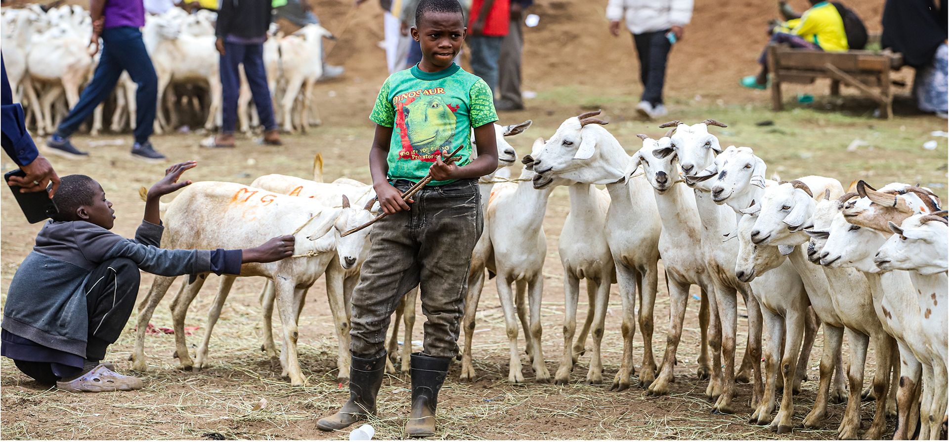 Un niño cuida de las cabras en el mercado de Kiamaiko antes del Eid al-Adha en Nairobi, Kenia, el 27 de mayo de 2026. (Foto AP/Patrick Ngugi) Un niño cuida de las cabras en el mercado de Kiamaiko antes del Eid al-Adha en Nairobi, Kenia, el 27 de mayo de 2026. (Foto AP/Patrick Ngugi)