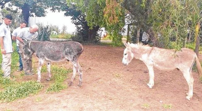En casa. Juanchi (izq.) y Alberto fueron recuperados. El robo de ambos había tomado trascendencia nacional.// La Capital