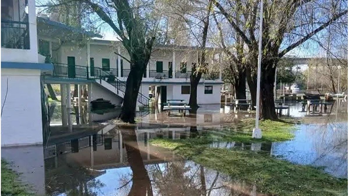 Río Uruguay: la creciente no da tregua y los niveles altos seguirán