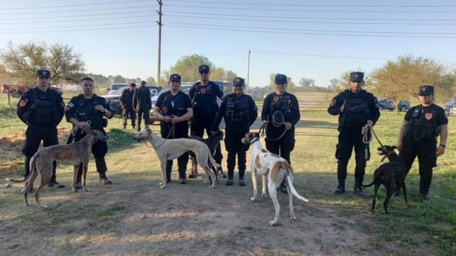 La policía rescató a los galgos que participaban de las carreras.&nbsp;