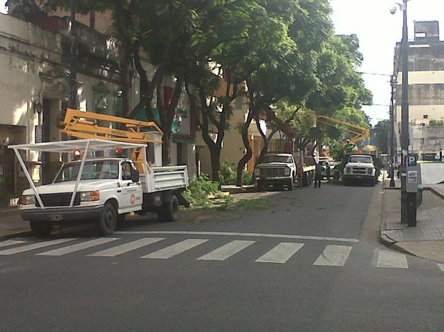 poda y escamonda. Luego de las quejas