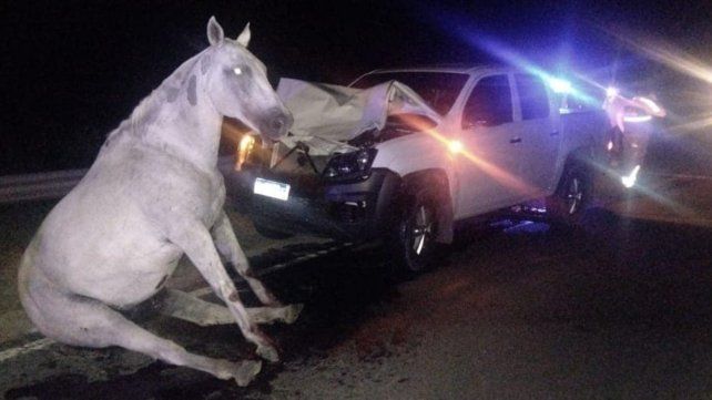 Chocó con caballo de madrugada en La Picada