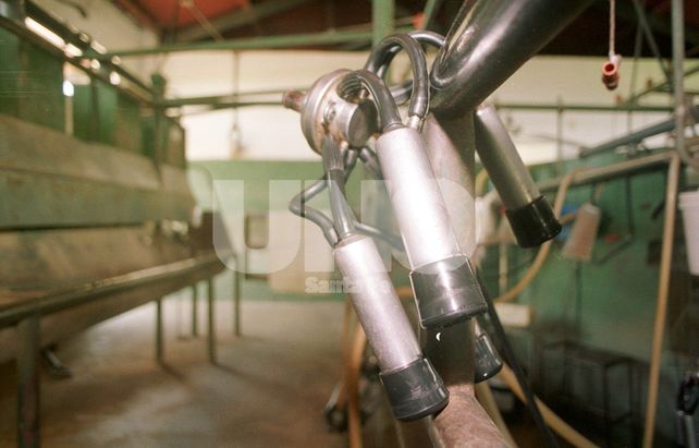 Tambos: por la quita de retenciones hay insumos que subieron un 200%