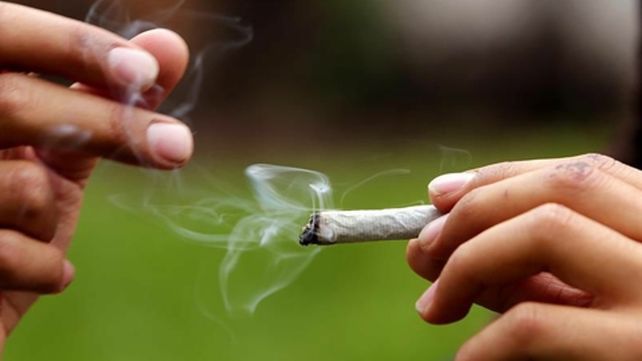 marihuana. Su consumo puede llevar a otras drogas como la heroína. 