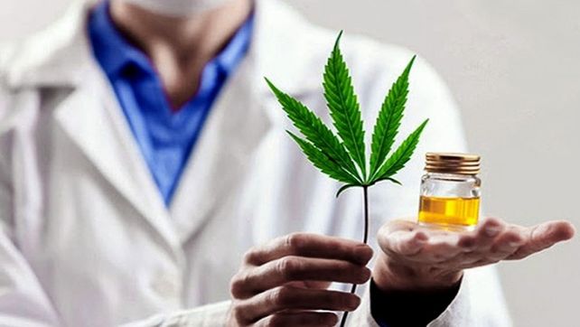 El aceite en base a cannabis solo está restringido en su elaboración y usos.&nbsp;