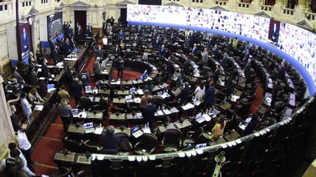 La Cámara de Diputados de la Nación.&nbsp;