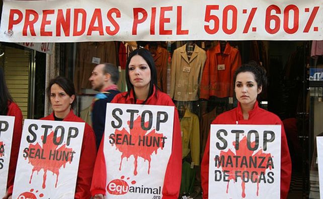 Se desnudan para protestar contra la caza de focas