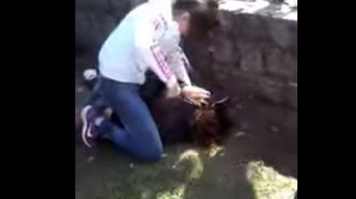Brutal pelea entre chicas en el Jardín Botánico de Santa Fe