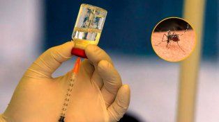 Unas 200.000 personas en el país deben ser vacunadas contra el dengue inmediatamente