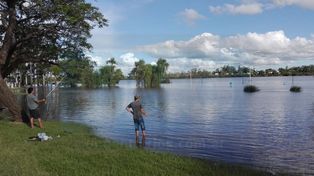La zona de paseos verdes y juegos infantiles quedó bajo agua en Concordia