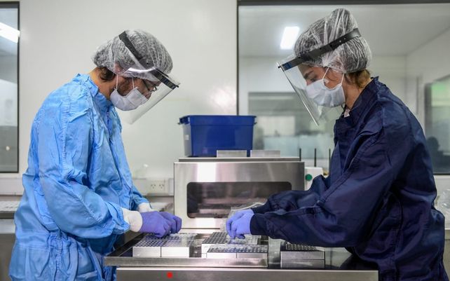 Coronavirus: comienza la distribución del suero equino hiperinmune desarrollado en Argentina