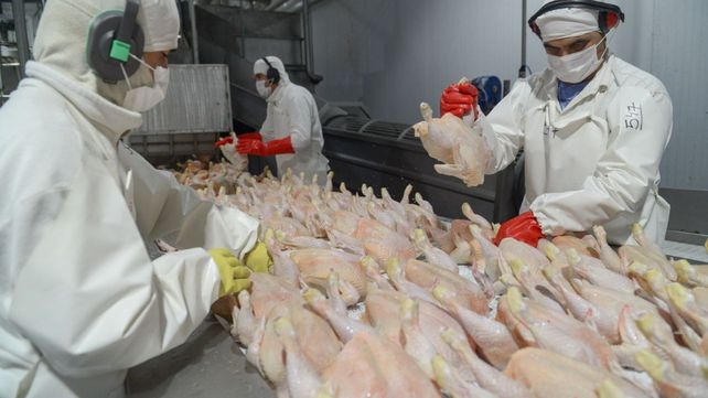 Japón había definido la suspensión en febrero de este año luego de la aparición de un caso de influenza aviar en aves de traspatio.