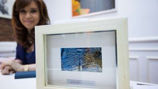 Argentinala Cristinae: dos científicos del Conicet bautizaron a un insecto en honor a Cristina Kirchner