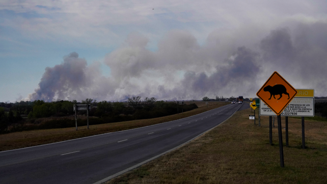 La ruta nacional 174 cubre 60 kilómetros desde el inicio del puente hasta la ciudad entrerriana.