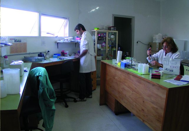 Imagen ilustrativa/ gobierno de la provincia de Santa Fe.