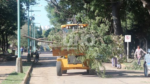 Continúan los trabajos para normalizar la situación en Santo Tomé