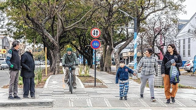 Se renovó el cantero central de Av. Aristóbulo del Valle en Santa Fe
