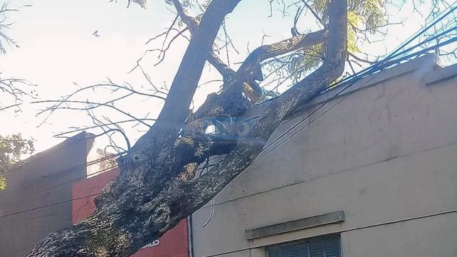 Temporal de lluvia y viento causó grandes daños en Paraná y zona