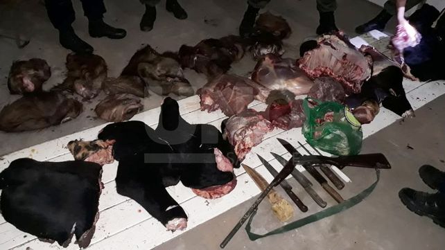 Detenidos por robo de ganado y faenamiento clandestino
