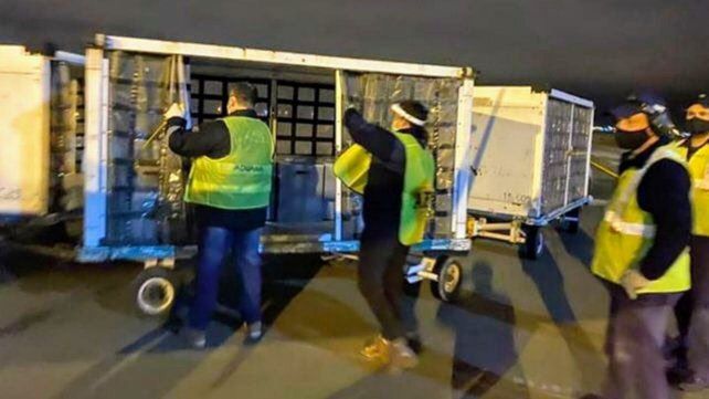 Los equipos médicos donados por Messi llegaron a Rosario el 8 de agosto del año pasado.