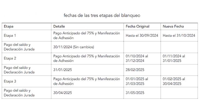 El Gobierno extendió por un mes los plazos para regularizar activos. La prórroga del blanqueo de capitales se oficializó a traves del Decreto 864/2024