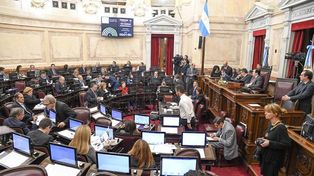 Amplia mayoría. Solo el senador del FPV Omar Perotti de Santa Fe, no acompañó la iniciativa.