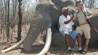 Un cazador alemán mata a un elefante considerado tesoro nacional de Zimbabue