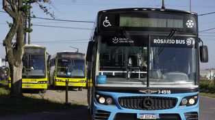 Tres empresas interesadas en la entrega de 60 colectivos cero kilómetro