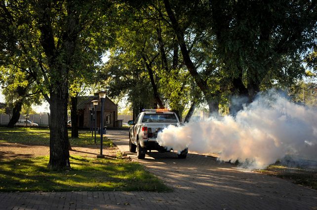 La Municipalidad de Rosario avanza con acciones de prevención y control del aedes aegypti