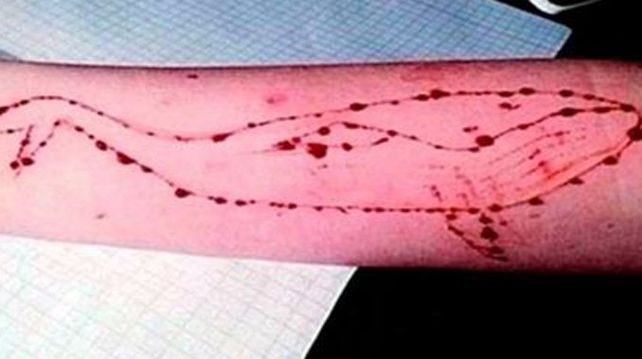 ¿Caso aislado?. El juego de la ballena azul llegó a esta parte de Paraná.