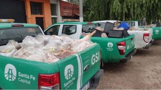 Decomisan seis toneladas de carne en mal estado en un comercio de Santa Fe