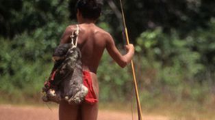 Estudios de ADN revelan secretos de los primeros pobladores de América
