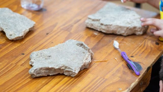 Un taller de paleontología despertó fuerte interés en Firmat