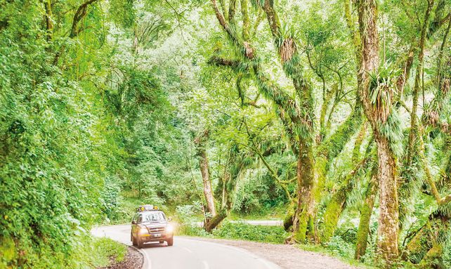 El Parque Nacional El Rey: una joya natural y silenciosa en el corazón de Salta