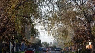 Altos del Valle se organiza contra los delitos y el efecto de las lluvias