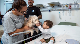 Zafira y Cala, las perras que acompañarán a los chicos internados en el Vilela