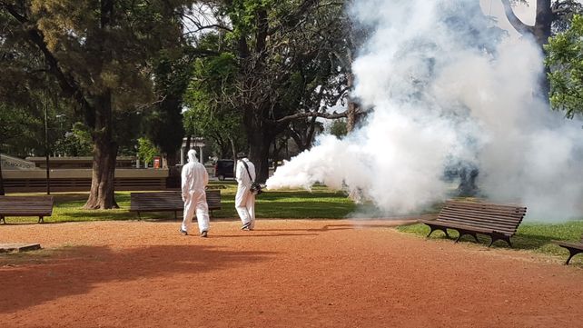 La Municipalidad de Rosario continúa con los operativos de fumigación en espacios verdes.