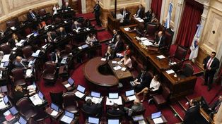 Una empleada denunció a un senador nacional por acoso y abuso