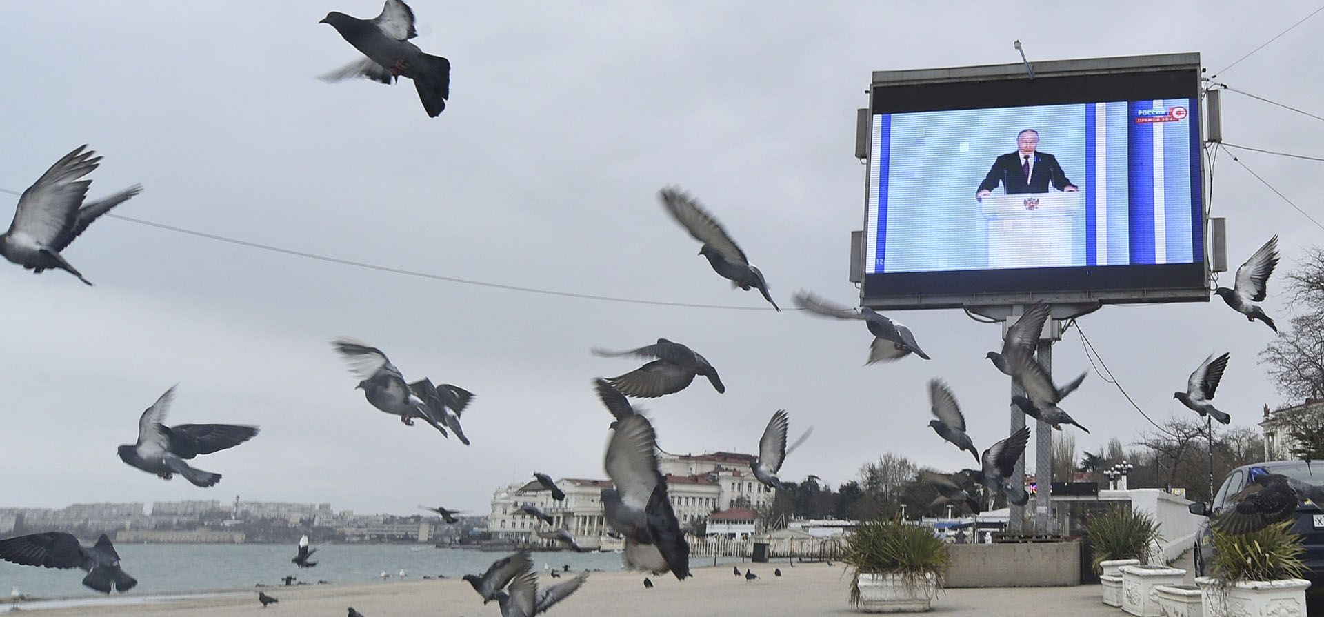 Las palomas despegan de la playa frente a una pantalla de televisión que muestra al presidente ruso, Vladimir Putin, durante su discurso anual sobre el estado de la nación en Sebastopol, Crimea, el martes 21 de febrero de 2023. (Foto AP)
